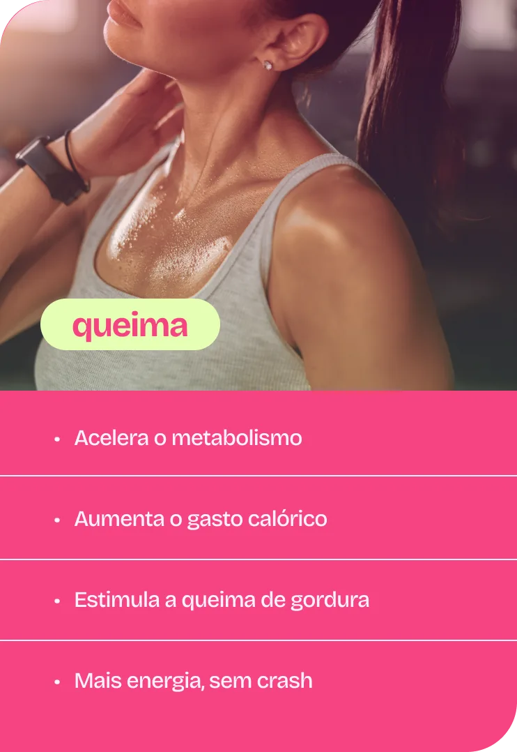 Pilar 1