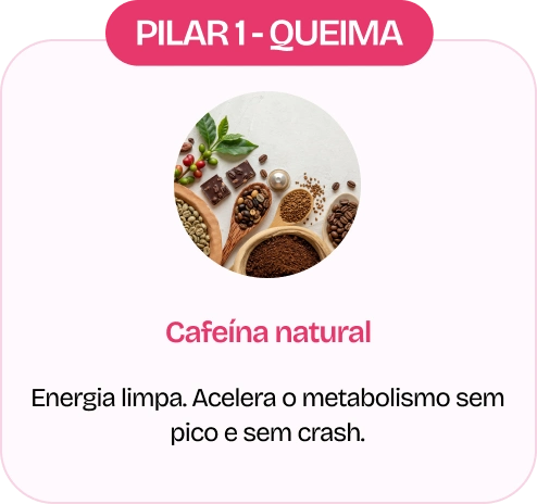 Ingrediente