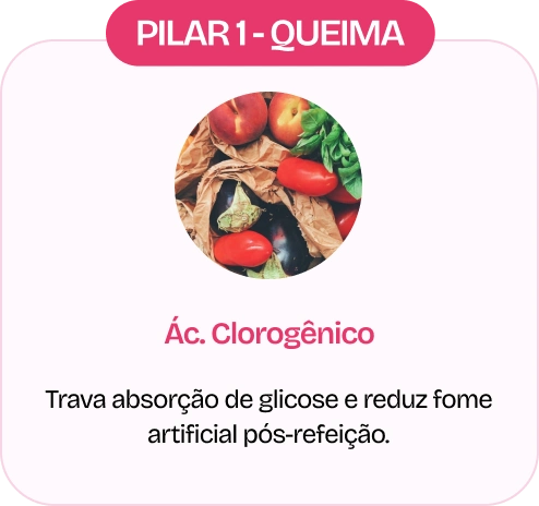 Ingrediente
