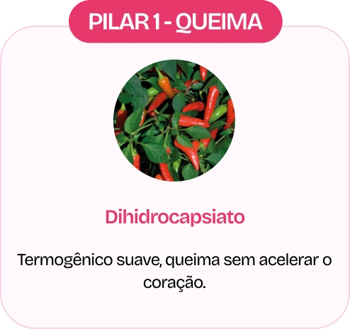 Ingrediente