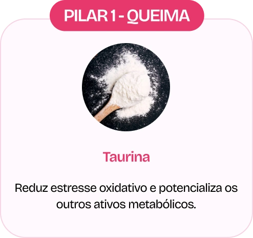 Ingrediente